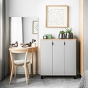 Shoe storage unit