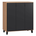 Shoe storage unit